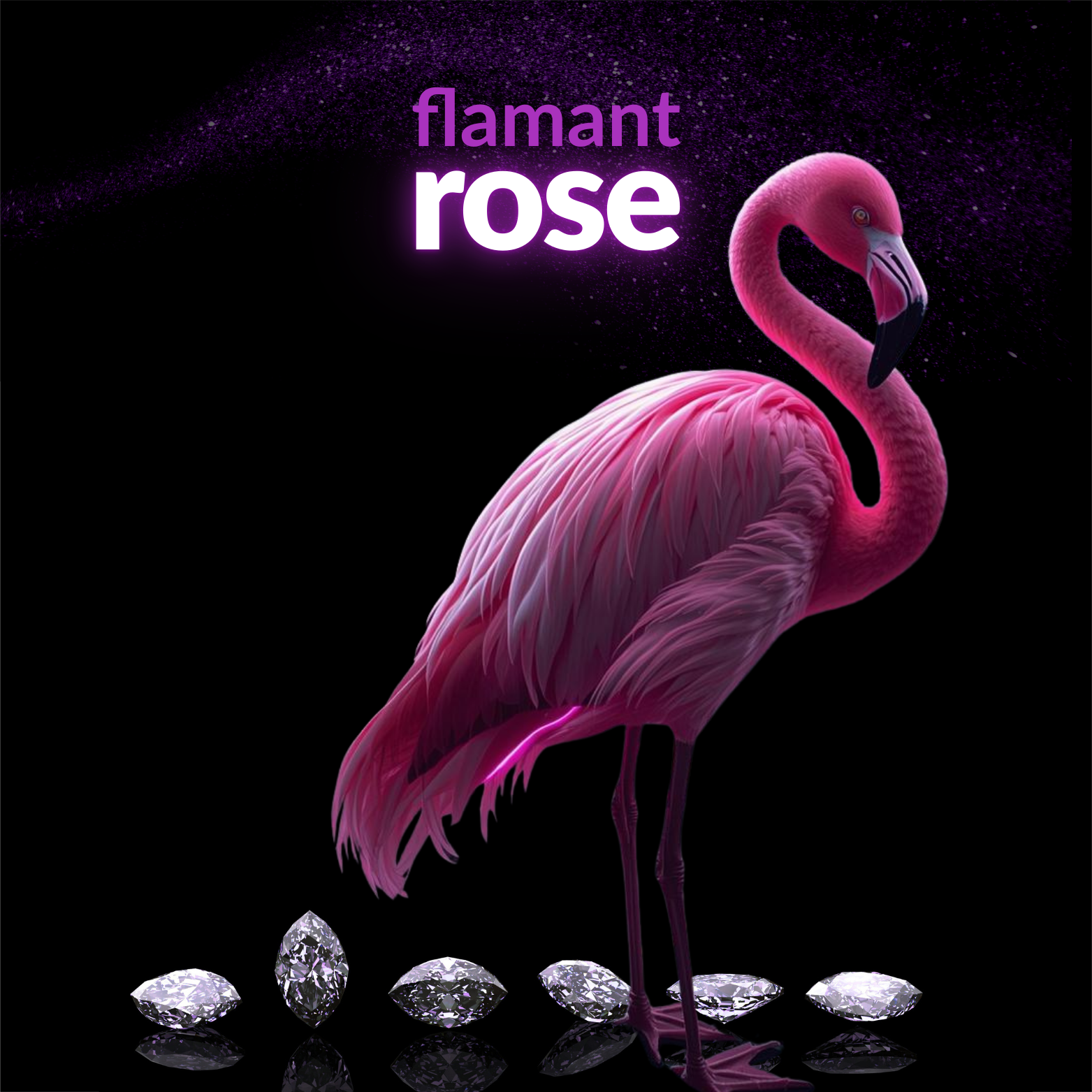Flamenco Rosa